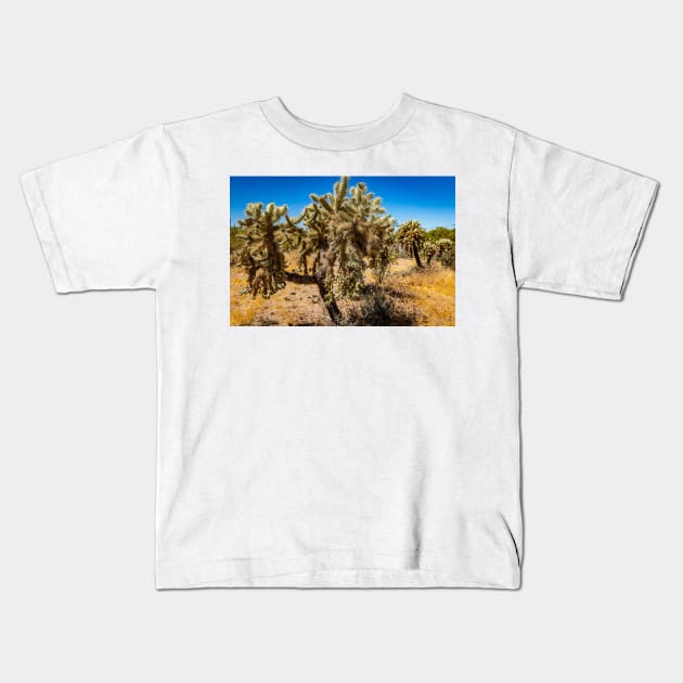 Cholla Cactus along the Apache Trail Kids T-Shirt by Gestalt Imagery